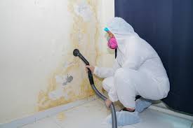 Mold Remediation for Vacation Homes in Greene, IA